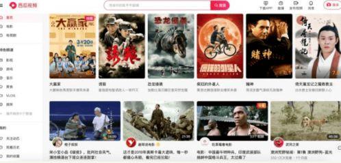 吃瓜网站能打开的网站免费 小瓜陆精选视频