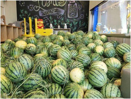 今日吃瓜事件,吃瓜群众围观娱乐圈最新瓜事