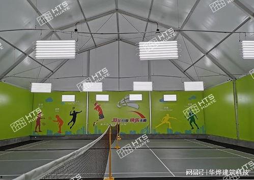 体育圈的天花板,巅峰时刻的辉煌与挑战