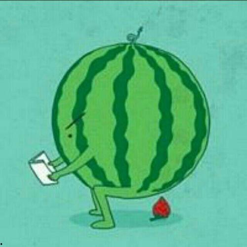 瓜在体育圈是什么意思,揭秘体育界的神秘“瓜”文化