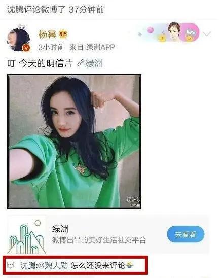 娱乐圈吃瓜汇总,揭秘明星幕后故事与热点事件